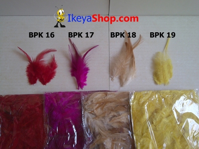 BPK 16 19  large2